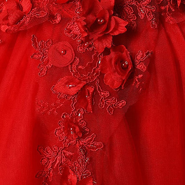 Princess Flower Girls' Dress Girl Party