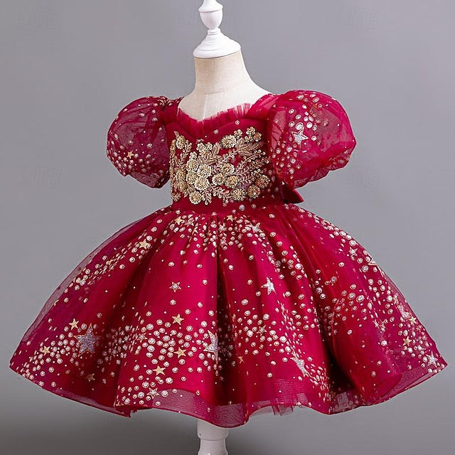 Girl Party Kids Girls' Flower Floral Dress Sequin