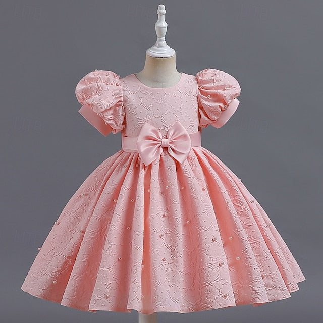 Princess Flower Girls' Kid's Dress Girl