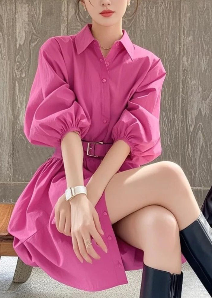 Dress Summer Sashe Button Peter Pan Rose French Collar Shirt