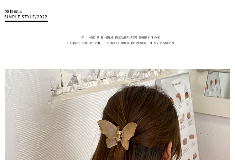 Claw Butterfly Hair Mesh
