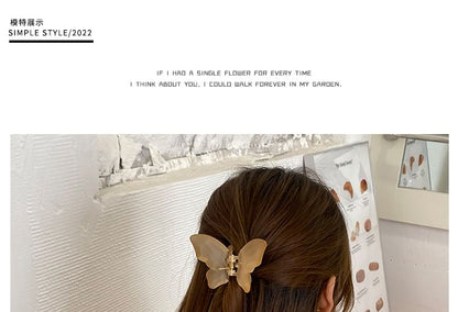 Claw Butterfly Hair Mesh