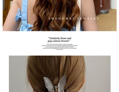 Claw Butterfly Hair Mesh