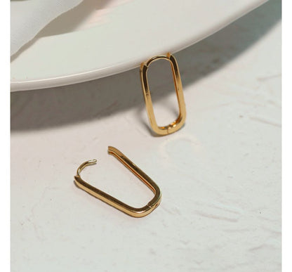 Hoop Earring Metal