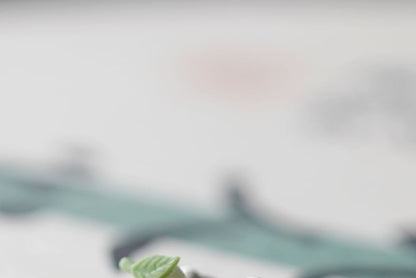 Peach Stud Ceramic Earring