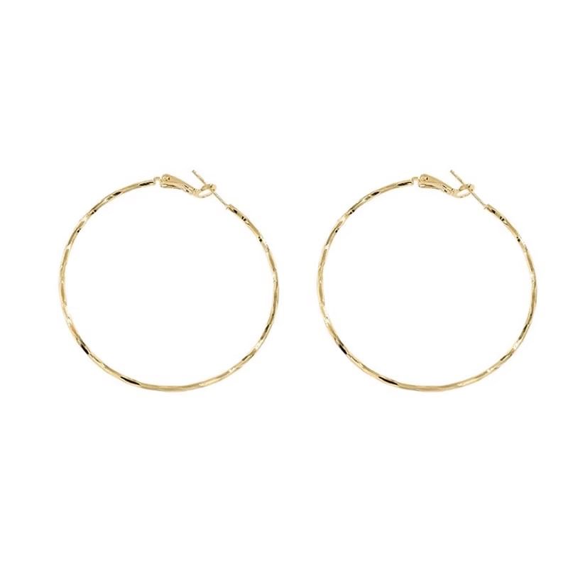 Alloy Earring Hoop