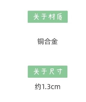 Starfish Earring Stud