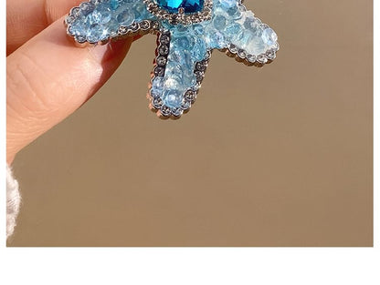Set Hair / Starfish Clip