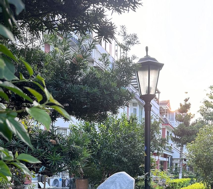 Long Sleeve Plain Faux Fur Trim Zip-Up Jacket