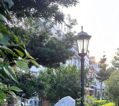 Long Sleeve Plain Faux Fur Trim Zip-Up Jacket