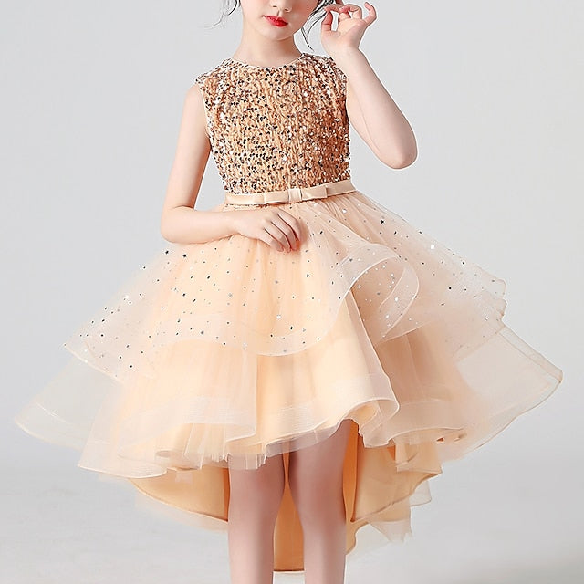 Dress Girls' Princess Flower Party Girl