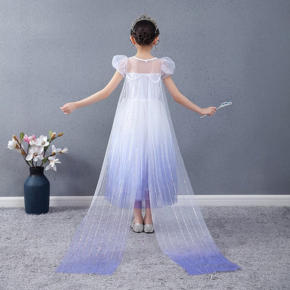 Girl Elsa Cosplay Dress Flower Princess Movie Girls'