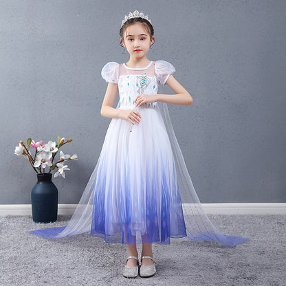 Girl Elsa Cosplay Dress Flower Princess Movie Girls'