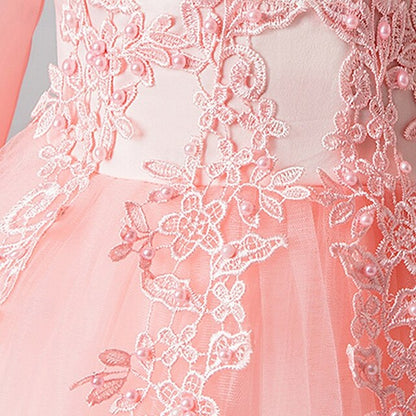 Girls' Kid's Princess Girl Dress Flower