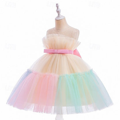 Flower Kid's Dress Girls' Girl Princess
