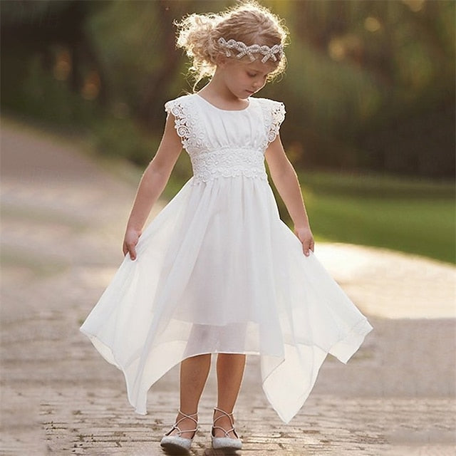 Princess Dress Girl Lace Flower Girls' Kid's