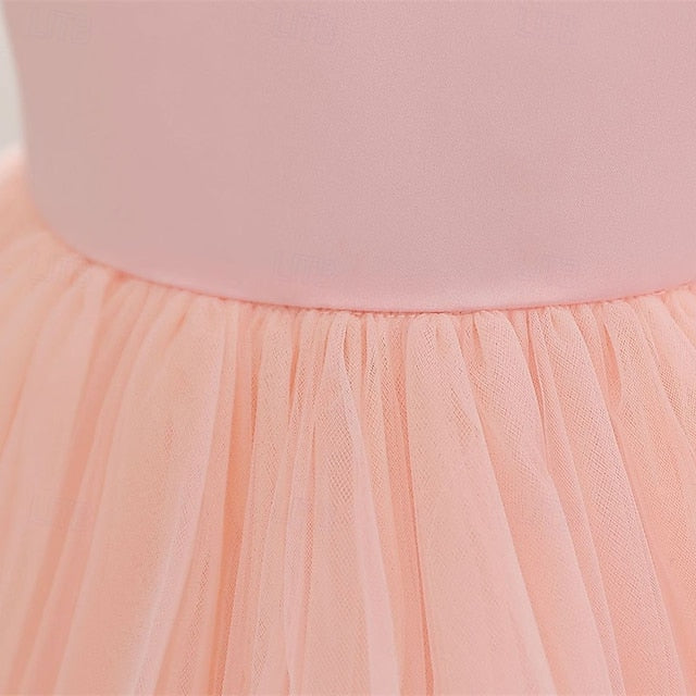 Dress Princess Girls' Kid's Flower Girl