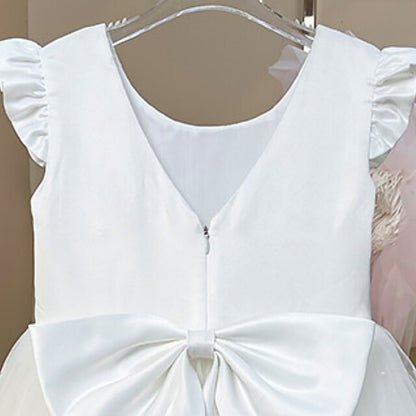 Dress First Princess Girls' Girl Flower Communion
