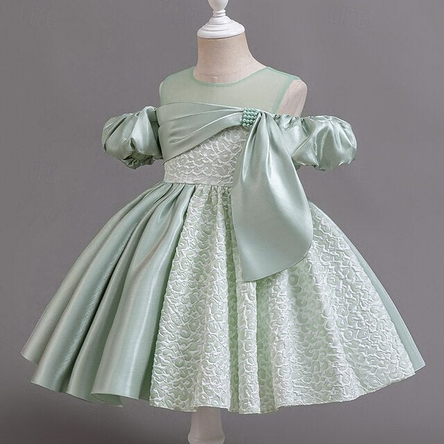 Party Wedding Flower Girls' Formal Dress Girl