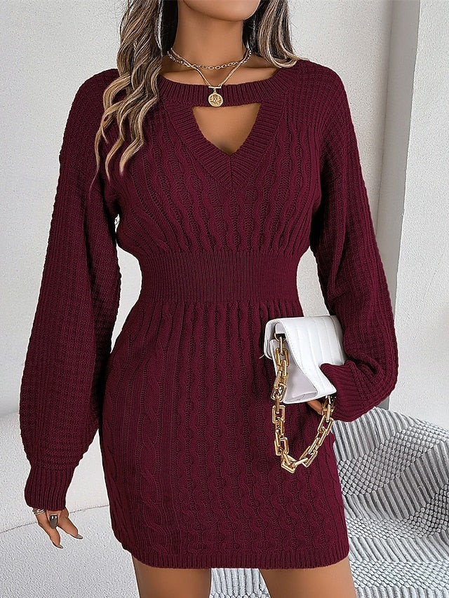 Women's Mini Dress Sweater Dress Casual Dress Elegant