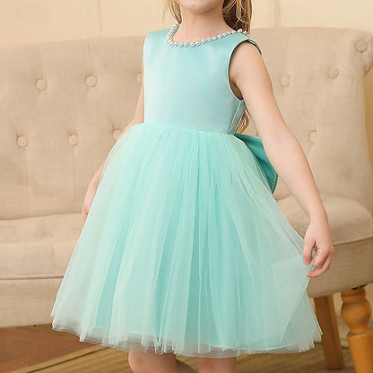 Wedding Dress Sleeveless Color Party Kids Girls' Solid