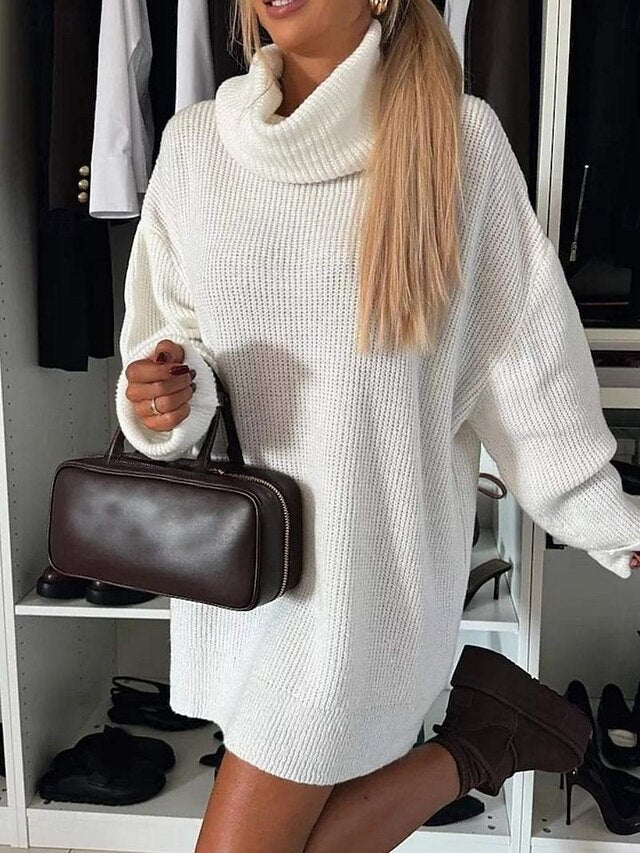 Women's Sweater Dress Daily Stylish Basic Pure Color Ribbed