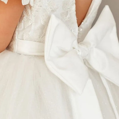 Girl Girls' First Flower Princess Dress