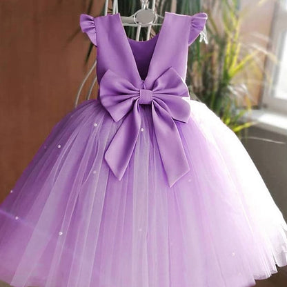 Dress First Princess Girls' Girl Flower Communion