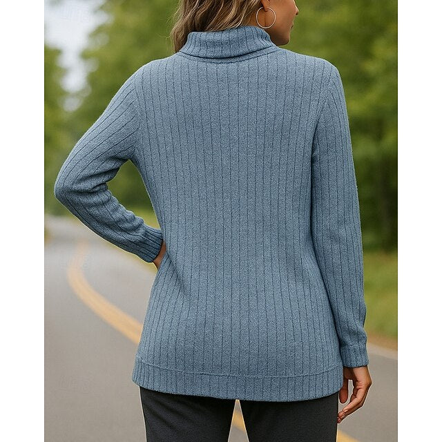 Women's Pullover Sweater Turtleneck Sweater Long Sleeve Top