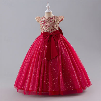 Kid's Girls' Dress Princess Flower Girl