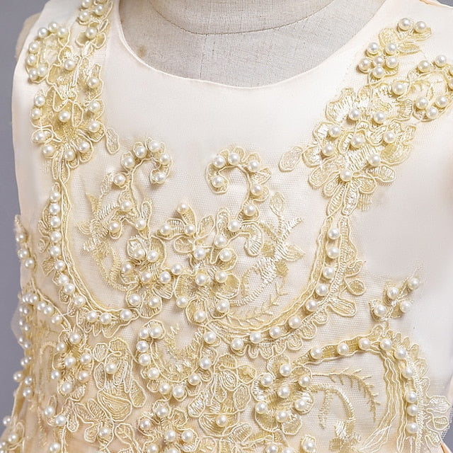 Party Girls' Wedding Girl Dress Flower