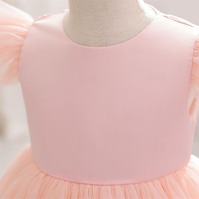 Dress Princess Girls' Kid's Flower Girl