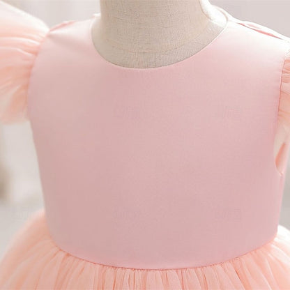 Dress Princess Girls' Kid's Flower Girl