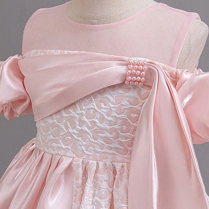 Party Wedding Flower Girls' Formal Dress Girl