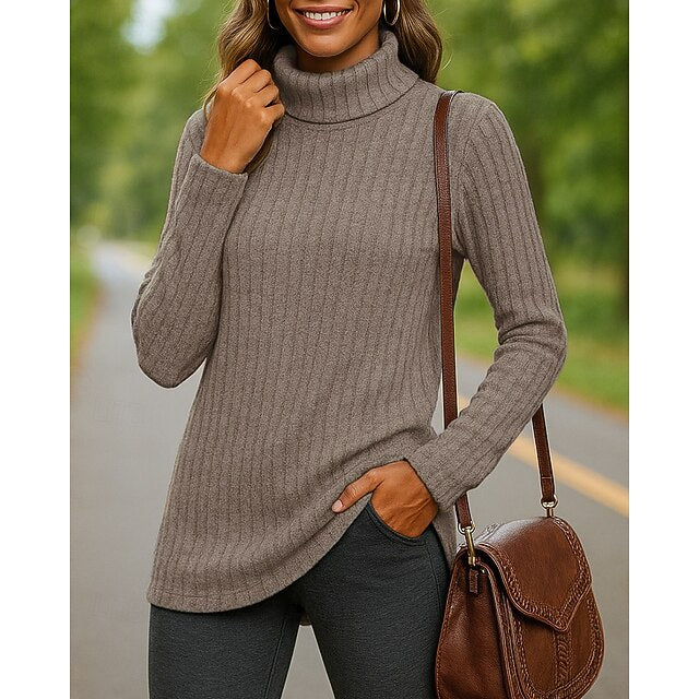 Women's Pullover Sweater Turtleneck Sweater Long Sleeve Top
