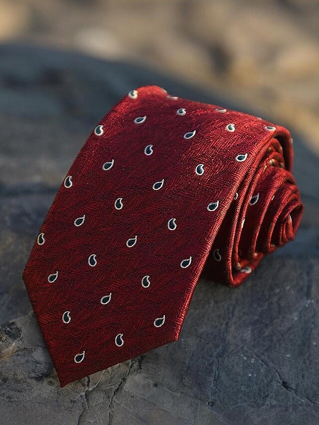 Classic Silk Paisley Necktie Men's and Striped Tie