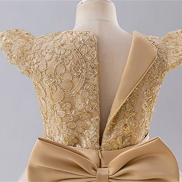 Kid's Girls' Dress Princess Flower Girl