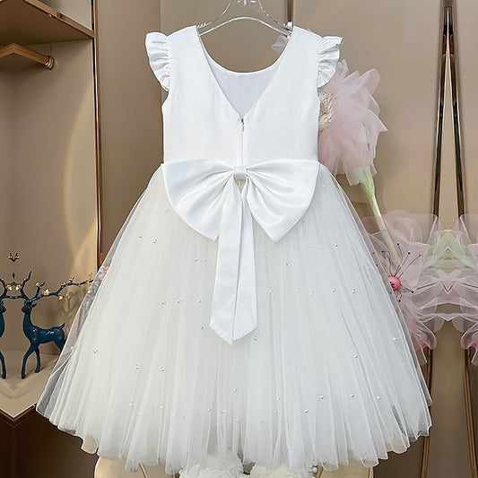 Dress First Princess Girls' Girl Flower Communion