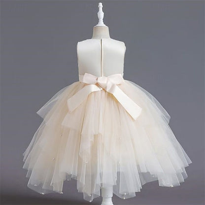 Flower Girl Girls' Princess Dress Kid's