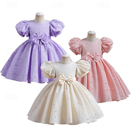 Princess Flower Girls' Kid's Dress Girl