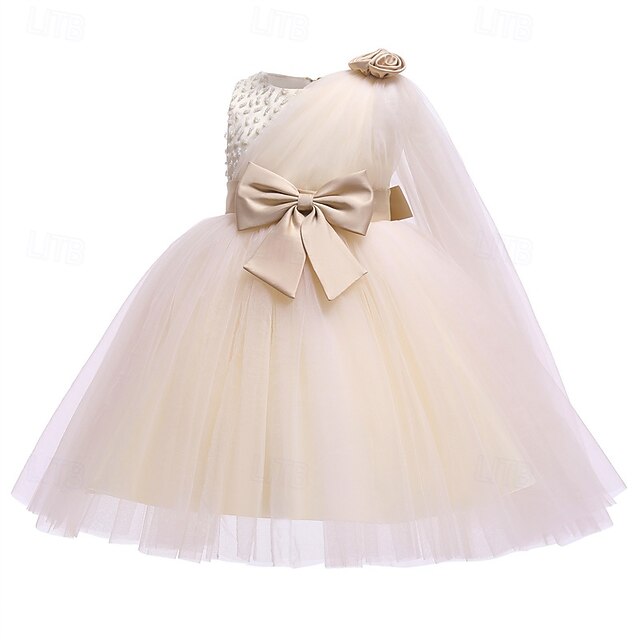 Girls' Flower Dress Girl Kid's Princess