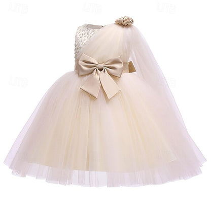 Girls' Flower Dress Girl Kid's Princess