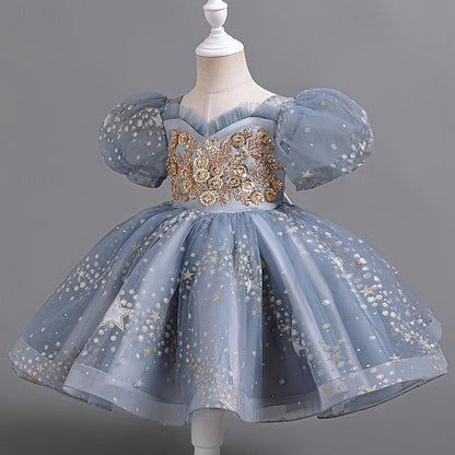 Girl Party Kids Girls' Flower Floral Dress Sequin