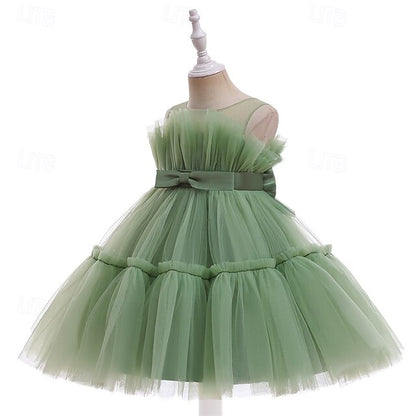 Flower Kid's Dress Girls' Girl Princess