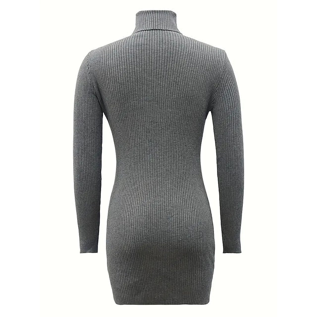 Women's Sweater Dress Jumper Dress Sheath Dress Mini Dress
