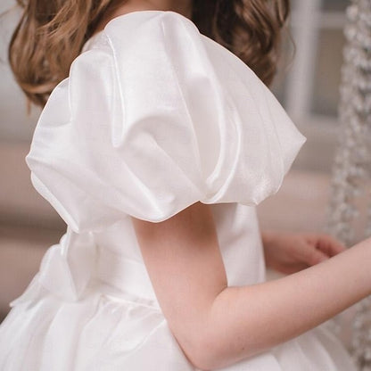 Girls' Girl Kids Party Color Solid Flower Long Dress