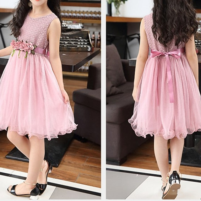 Flower Girls' Performance Girl Dress Party