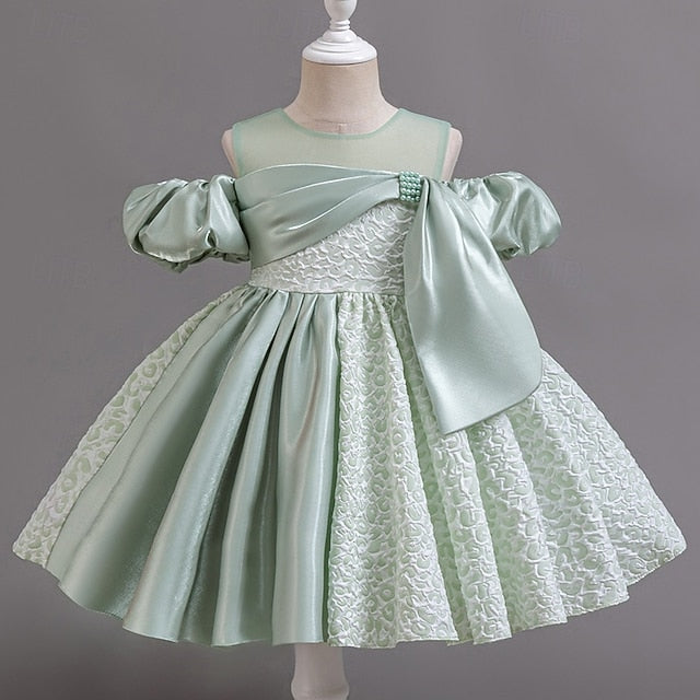 Party Wedding Flower Girls' Formal Dress Girl