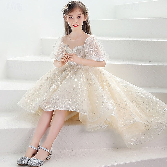 Kid's Flower Girl Girls' Princess Dress