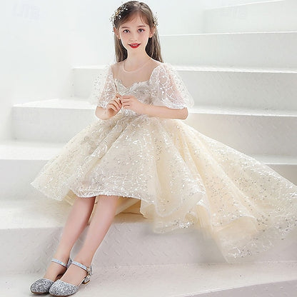 Kid's Flower Girl Girls' Princess Dress